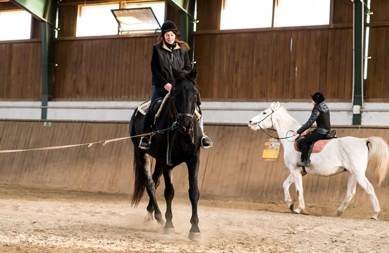 stage équitation