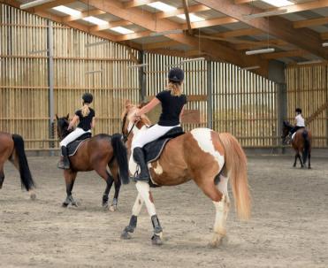 Manège chevaux intérieur